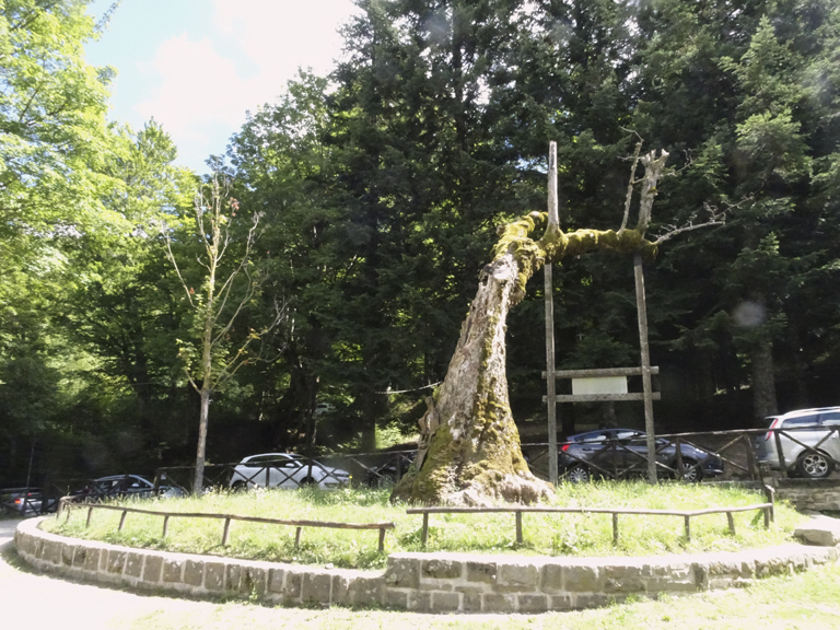 Acero_Lizzano_Santuario (2)